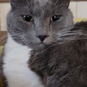 Meet your Posher, Irene